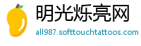明光烁亮网